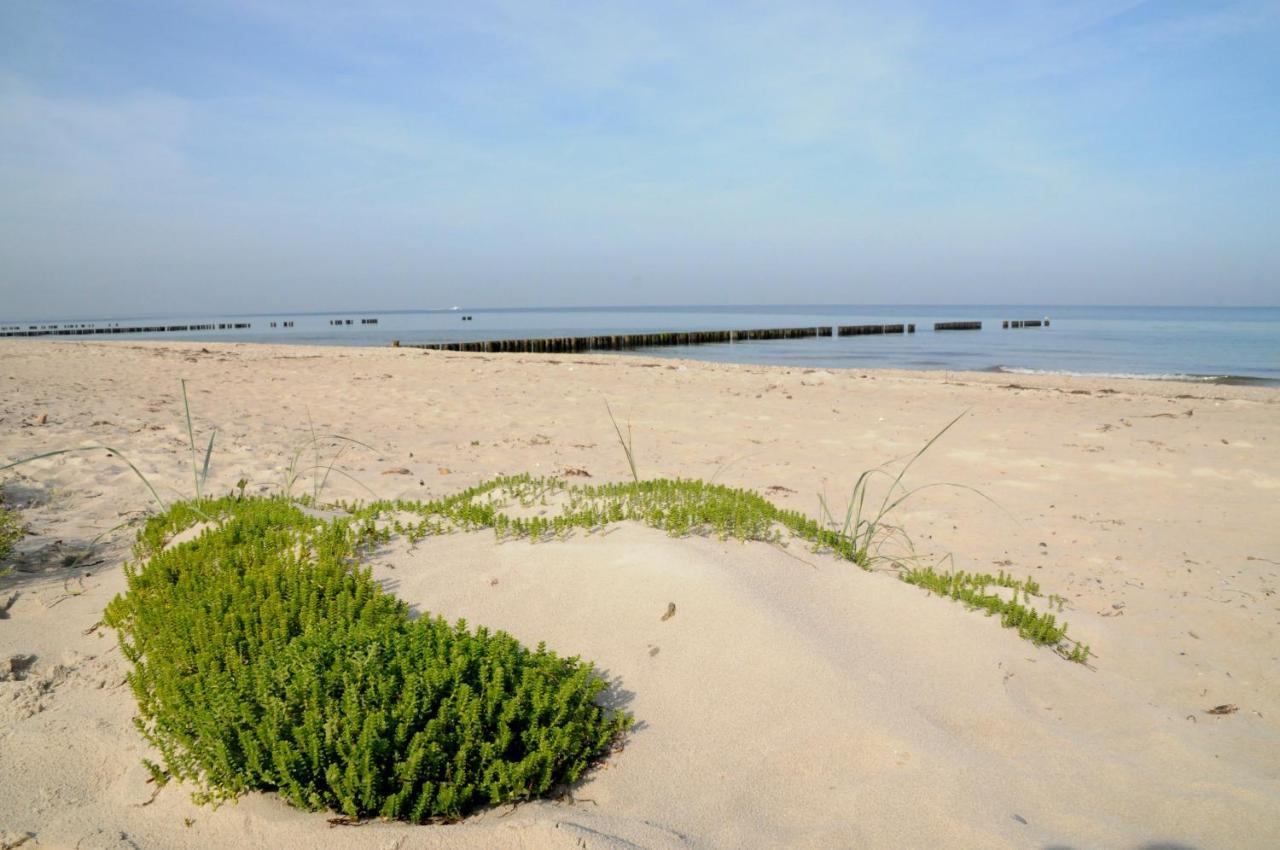 Strandhafer Aparthotel Rostock Zewnętrze zdjęcie